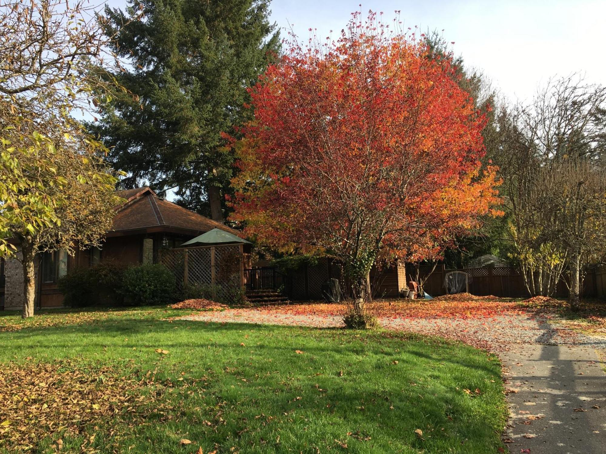 Villa Coles Bay Vacation Retreat North Saanich Exterior foto